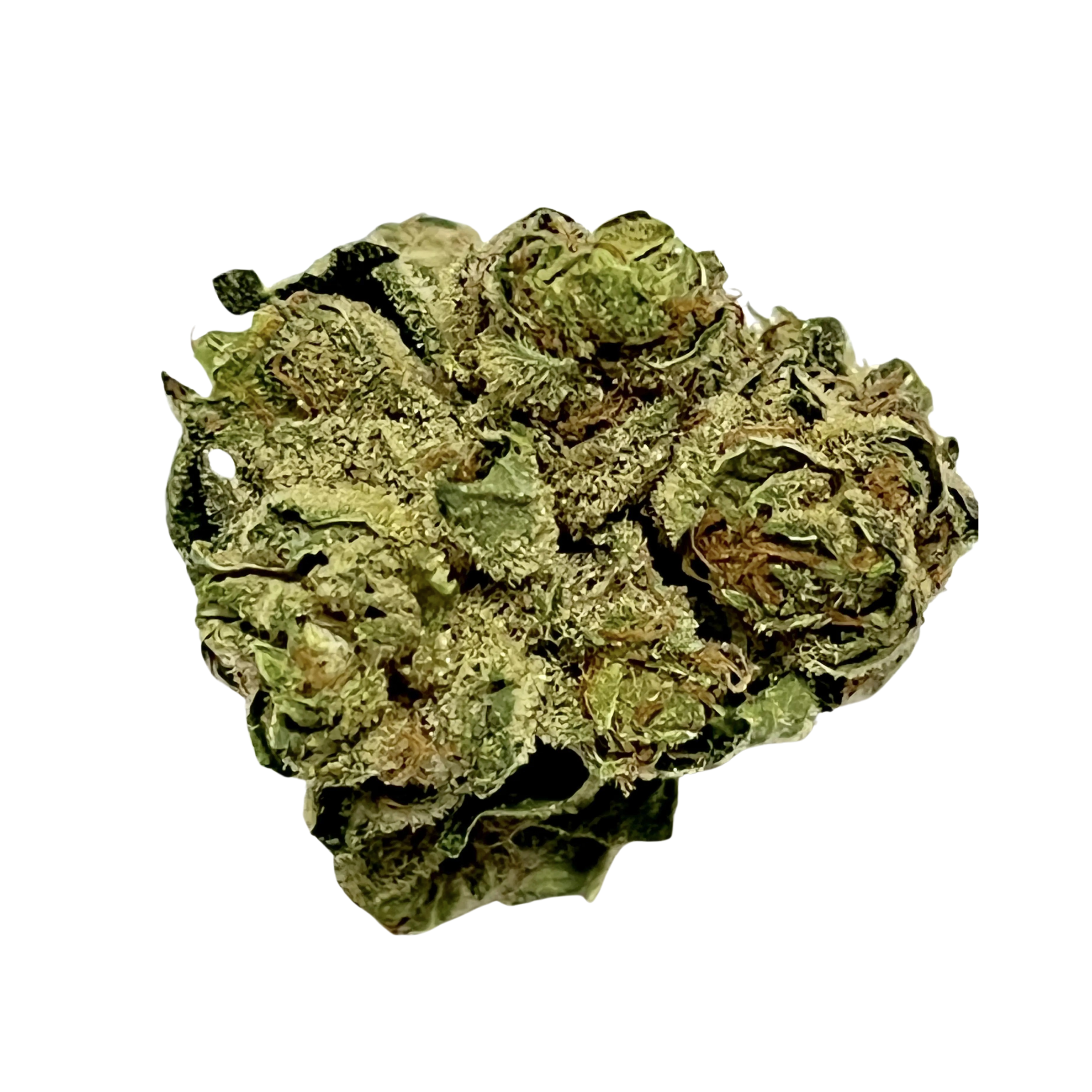 Image of Navcora THC18 Spotlight Porto GWOG