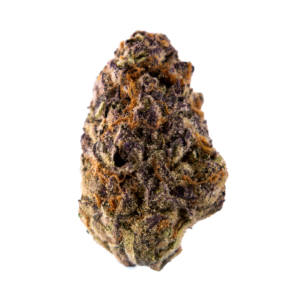 Image of 23/1 NICE C