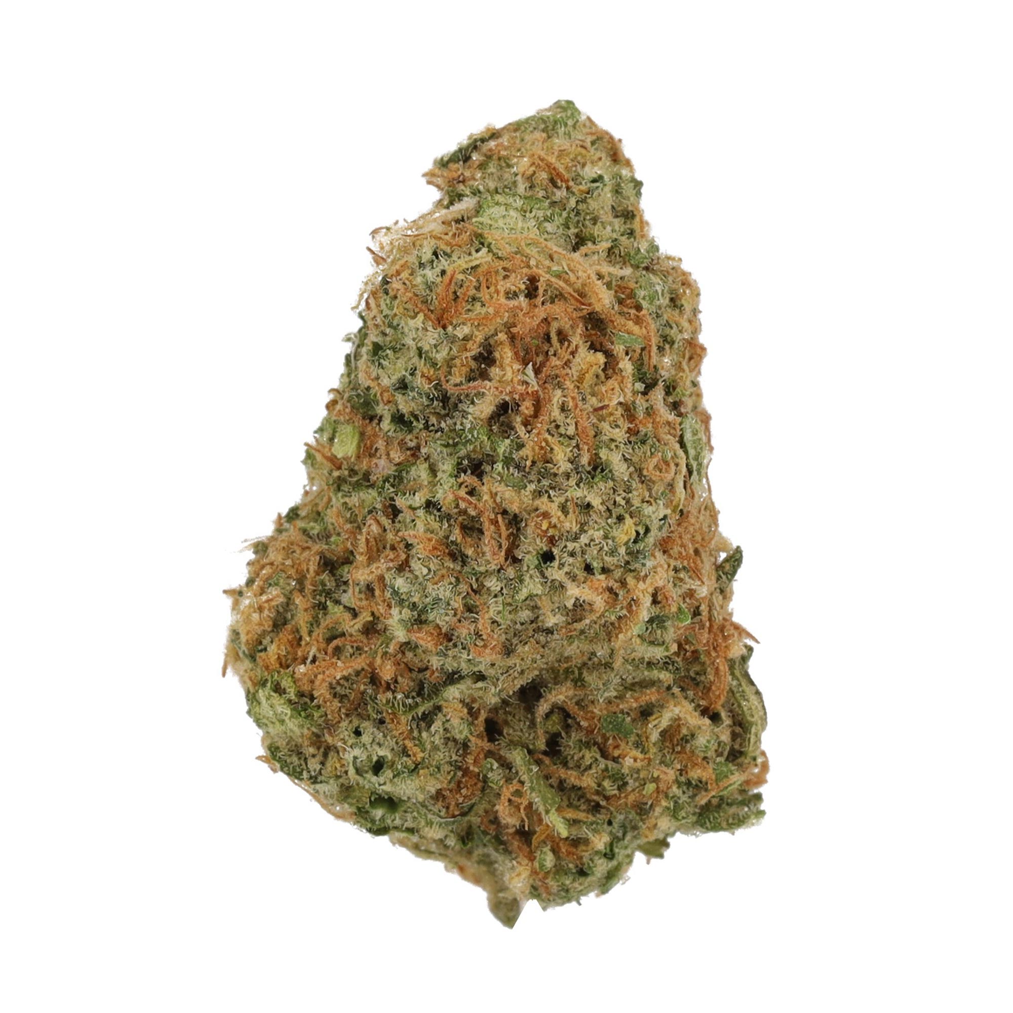 Image of Cannamedical Sativa classic NM GD