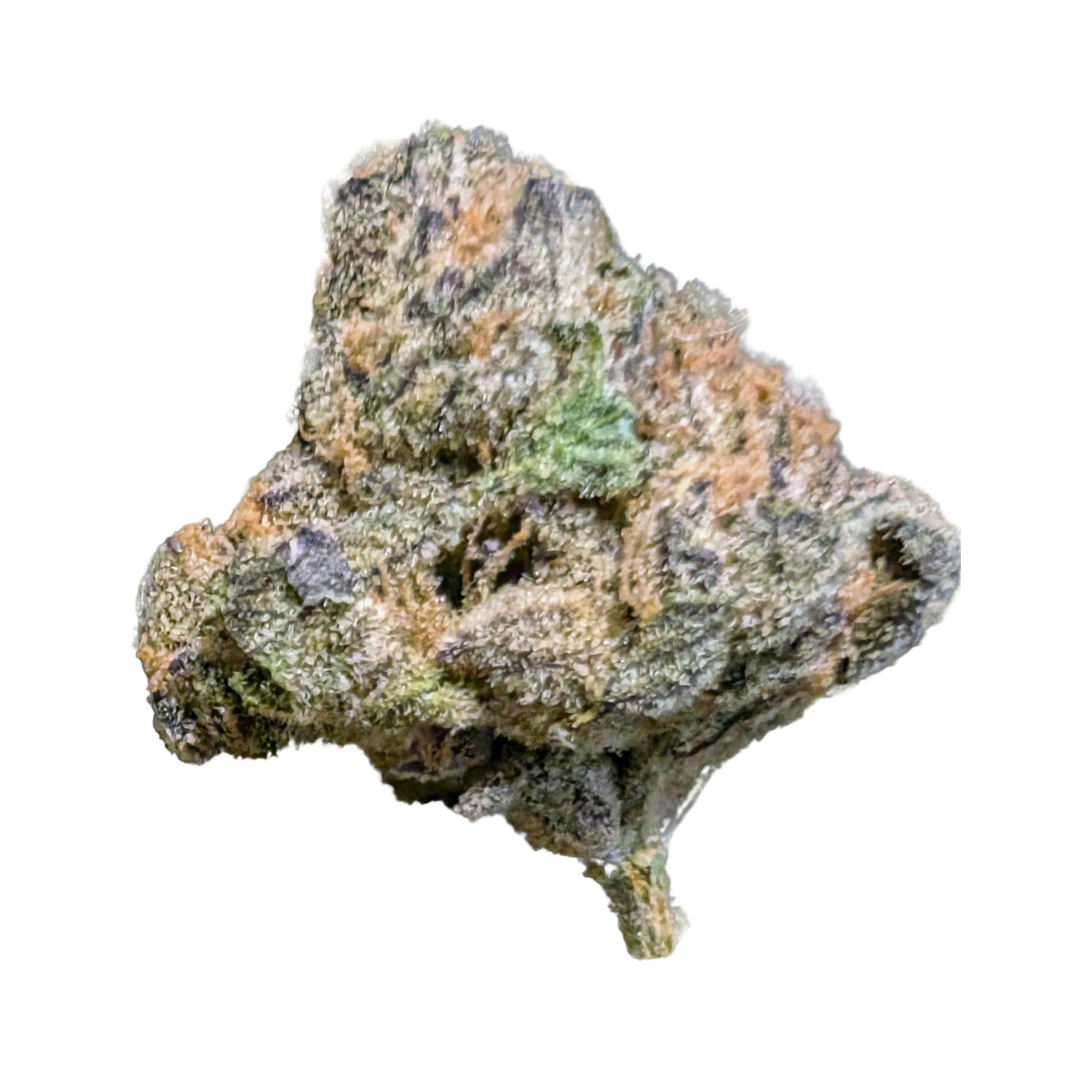 Image of IMC THC22 GGA