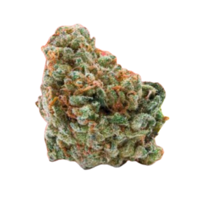 Image of 27/1 Amici WC