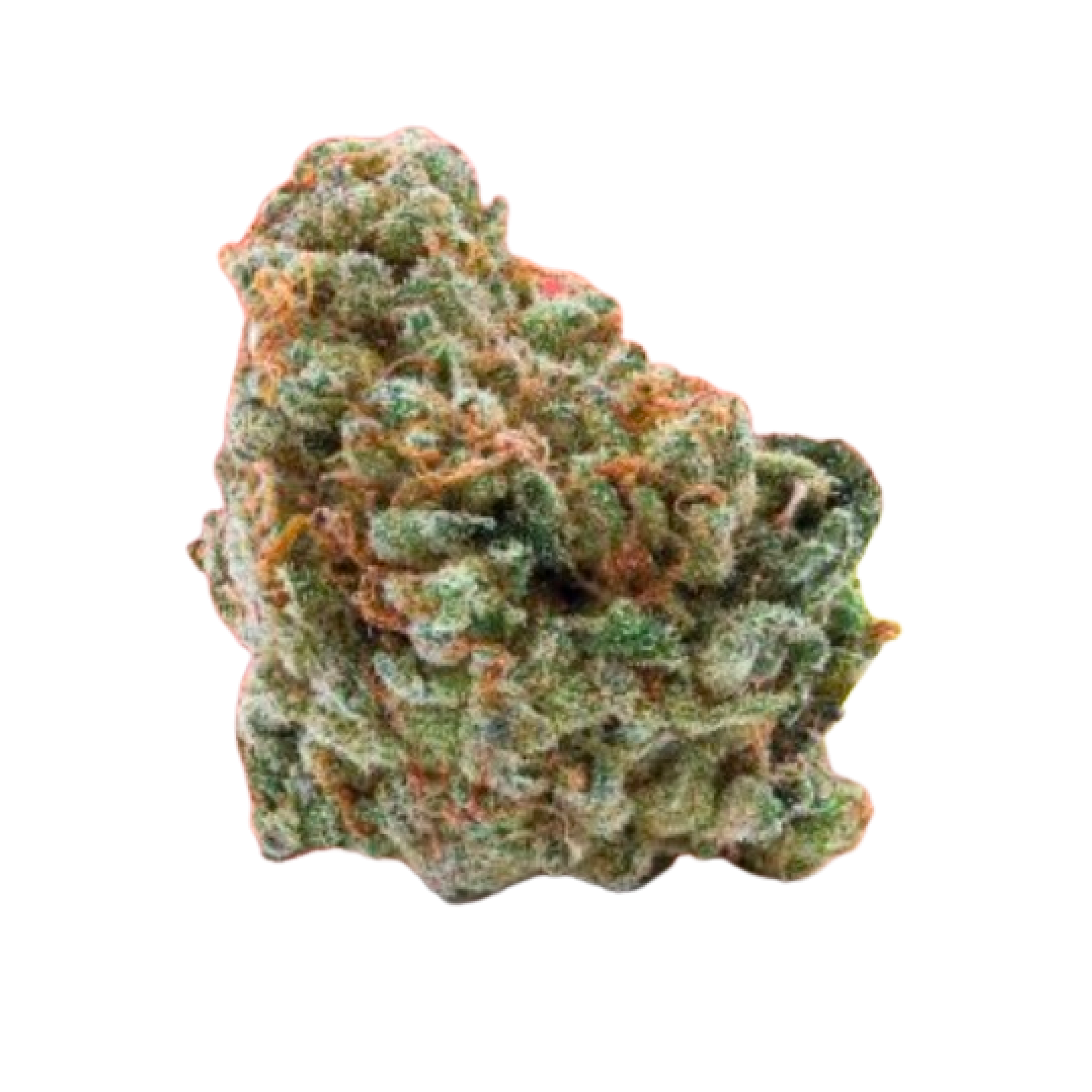 Image of 27/1 Amici WC