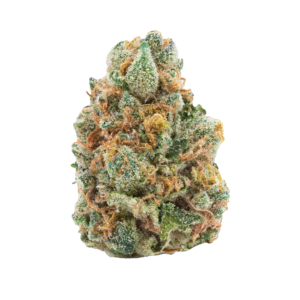 Image of 27/1 Amici AS