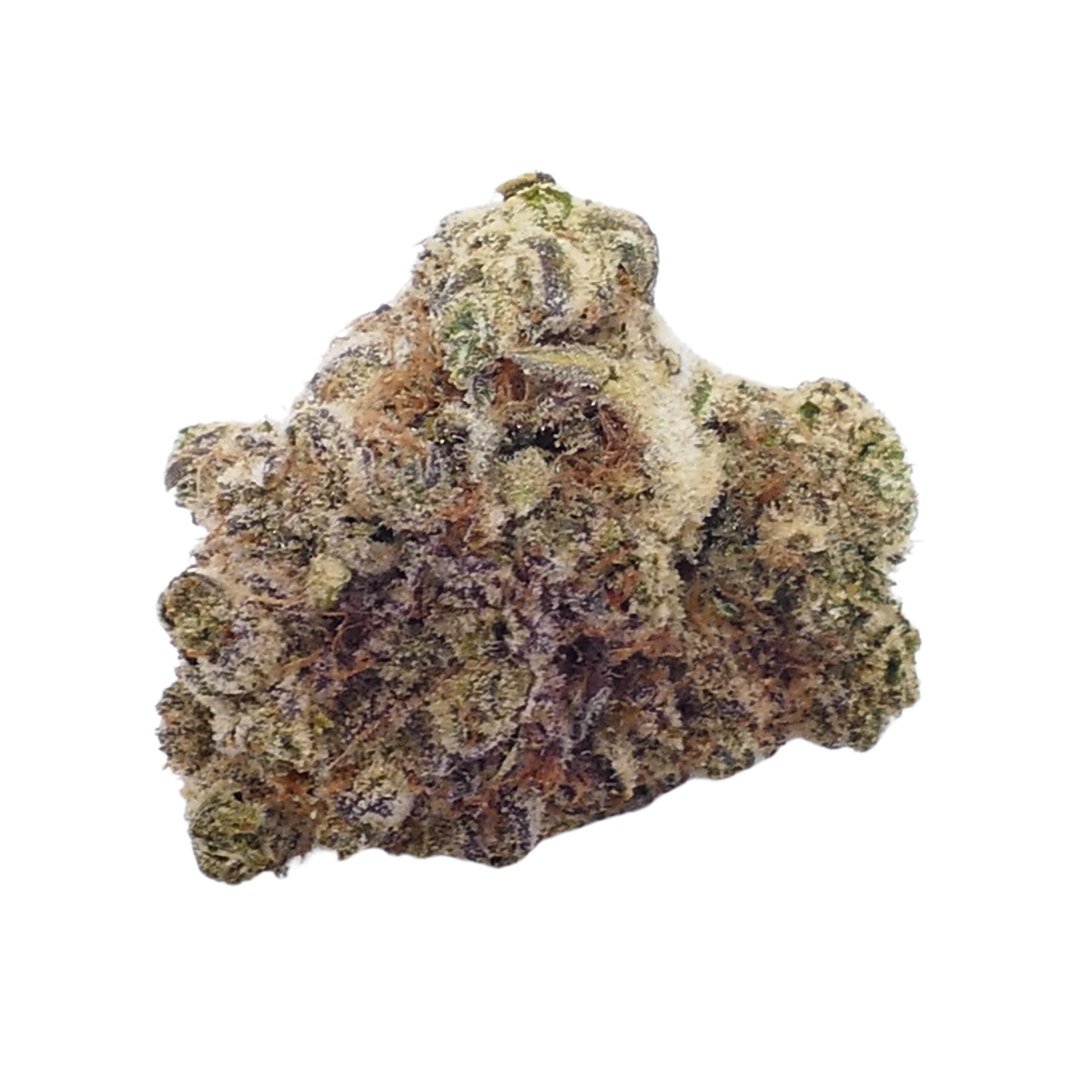 Image of Barongo 24/1 Banjo