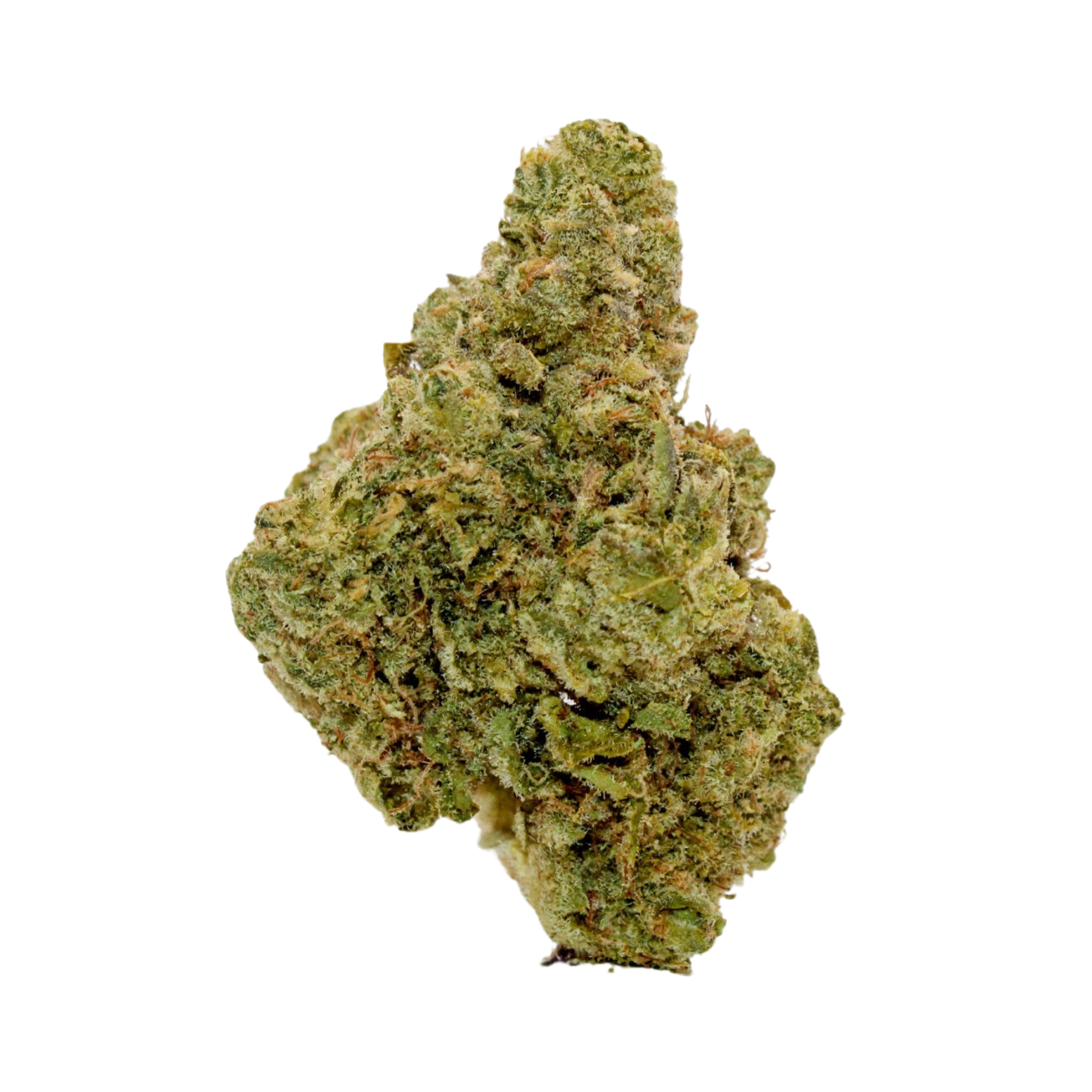 Image of All Nations LT 25/1