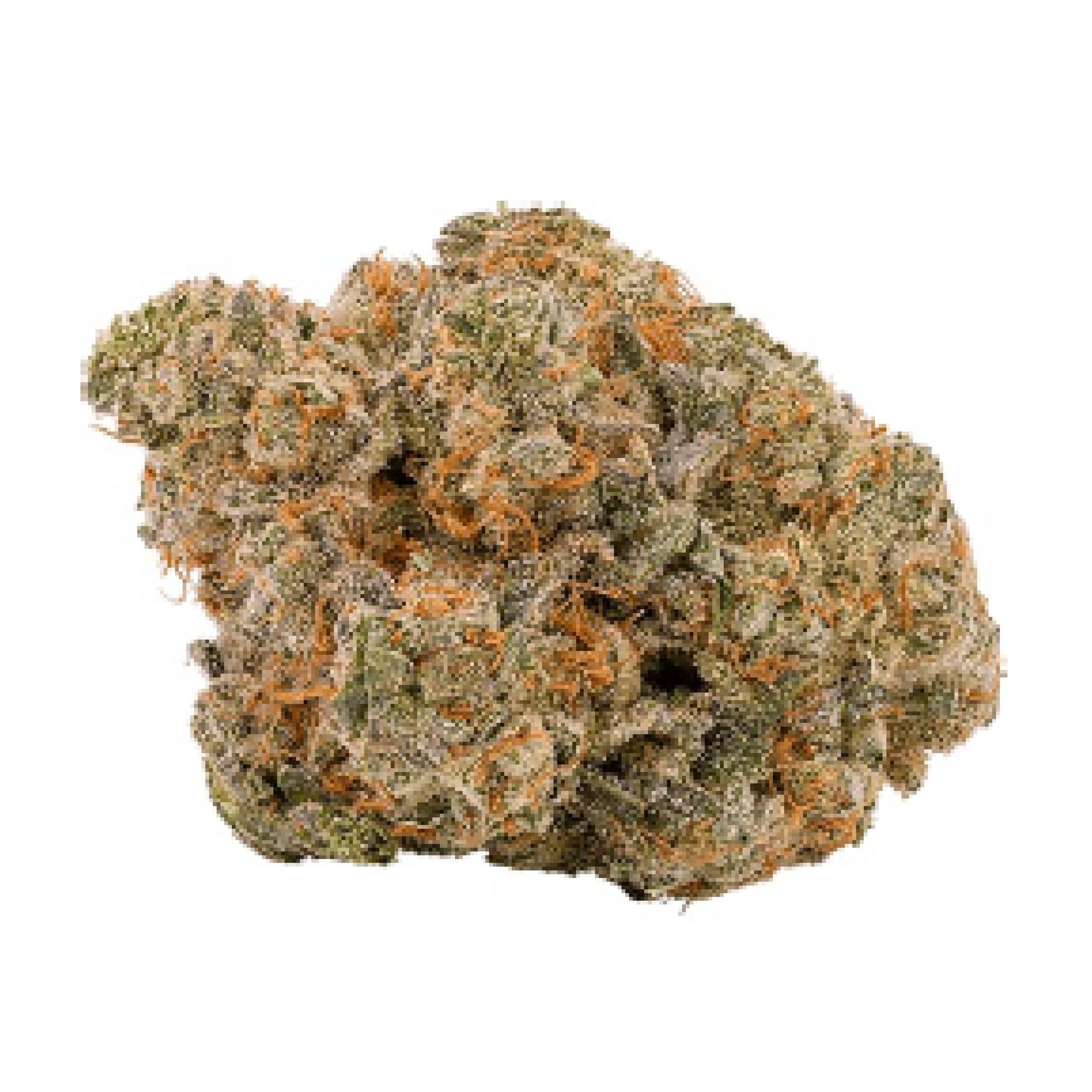 Image of Bathera 25/1 BZ