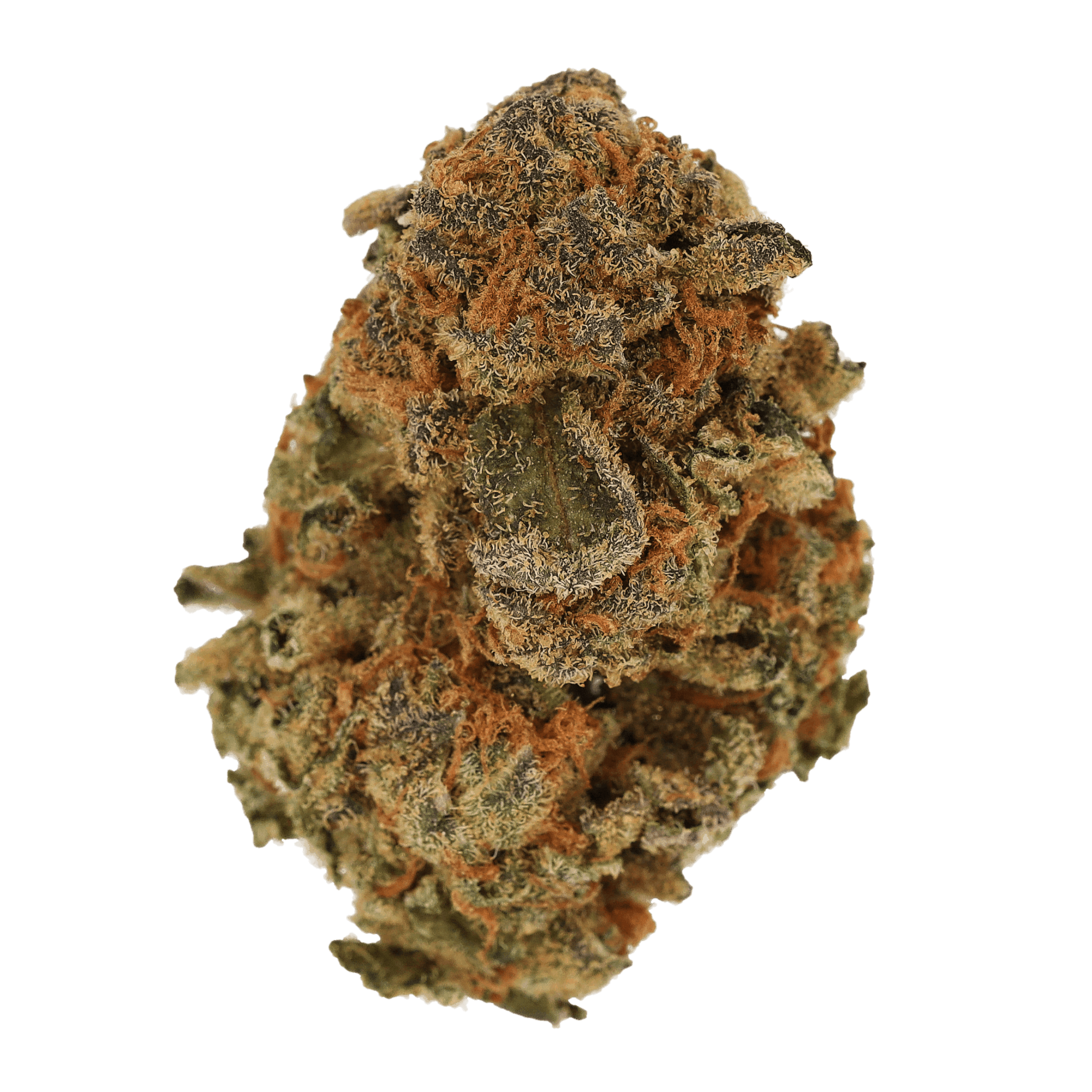 Image of Cannamedical Sativa Forte MA LS