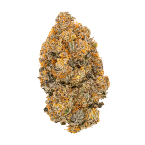 Image of avaay Signature 25/1 HYP