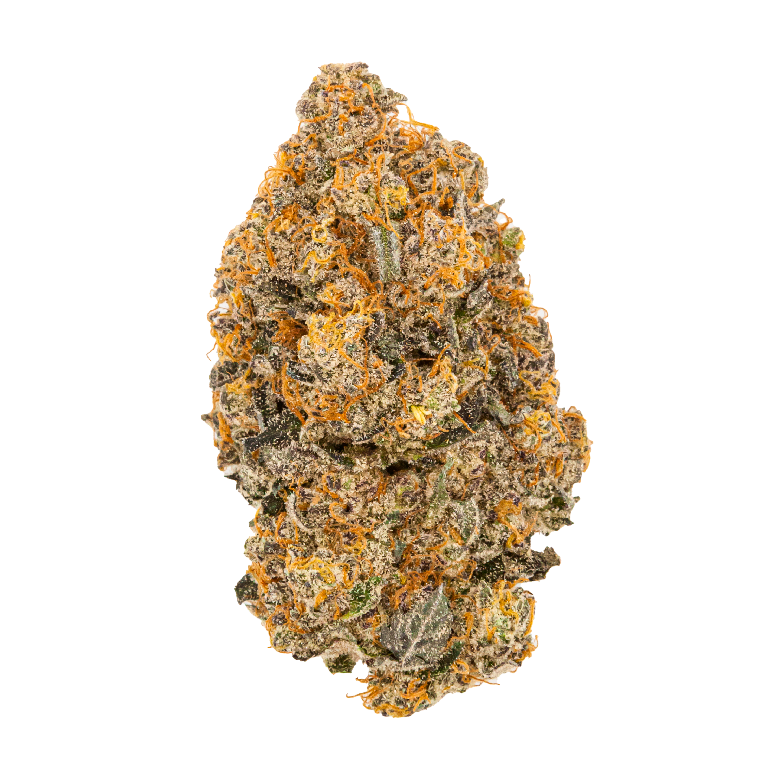 Image of avaay Signature 25/1 HYP