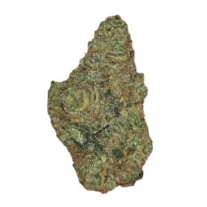 Image of Bathera 28/1 BZ